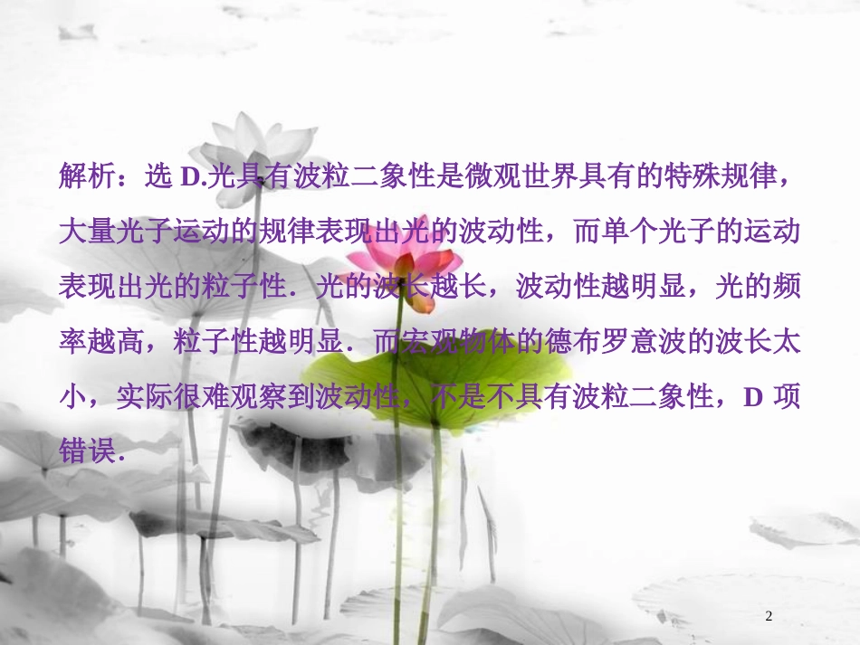 （新课标）高考物理一轮复习 第十二章 近代物理 第一节 光电效应 波粒二象性课后检测能力提升课件_第2页
