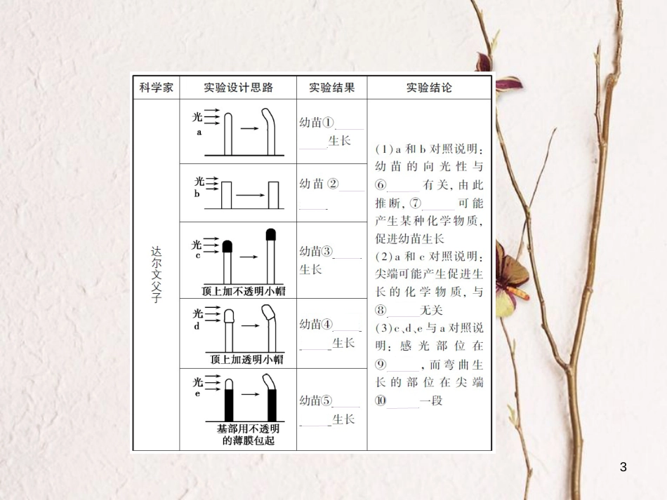 （B版，浙江选考专用）2019版高考生物总复习专题17植物激素调节课件_第3页