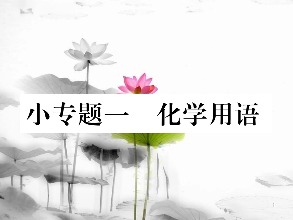 （云南专版）九年级化学上册 小专题一 化学用语习题课件 （新版）新人教版_第1页