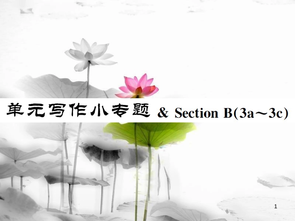 （浙江专版）七年级英语上册 Unit 5 Do you have a soccer ball写作小专题 & Section B（3a-3c）课件 （新版）人教新目标版_第1页