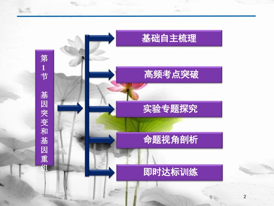 （广东专用）高考生物总复习第5章基因突变及其他变异第1节基因突变和基因重组课件新人教版必修2_第2页