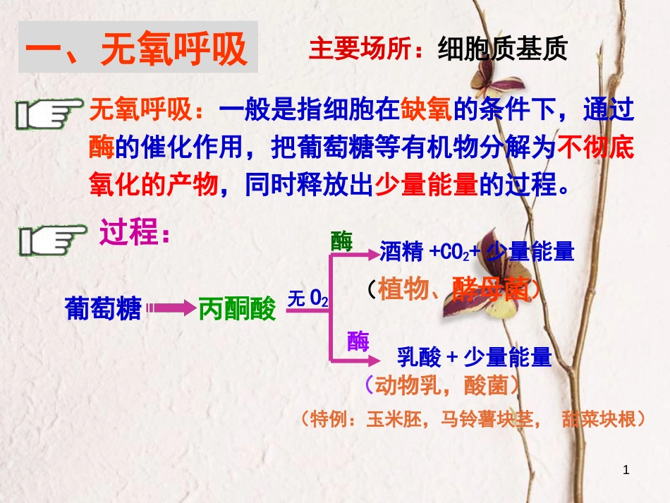 辽宁省北票市高中生物 第五章 细胞的能量供应和利用 5.3 ATP的主要来源-----细胞呼吸（2）课件 新人教版必修1_第1页
