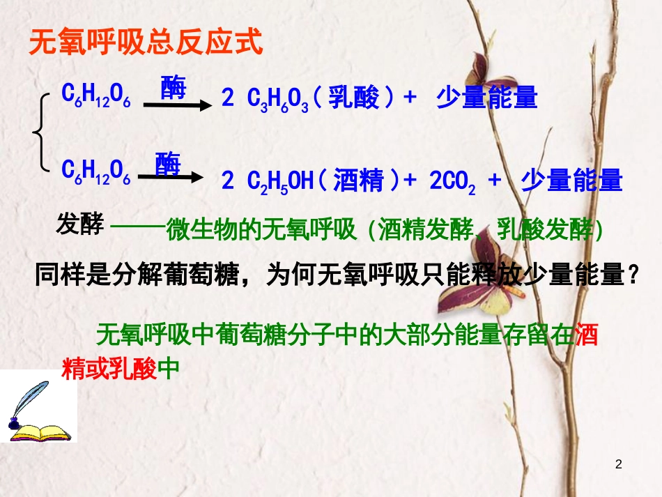 辽宁省北票市高中生物 第五章 细胞的能量供应和利用 5.3 ATP的主要来源-----细胞呼吸（2）课件 新人教版必修1_第2页
