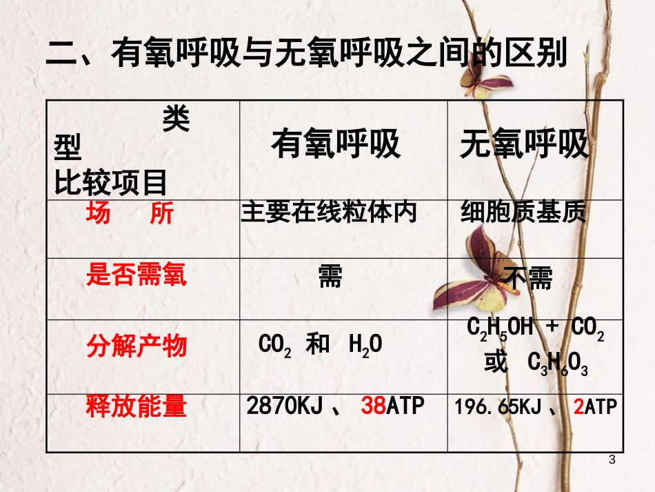 辽宁省北票市高中生物 第五章 细胞的能量供应和利用 5.3 ATP的主要来源-----细胞呼吸（2）课件 新人教版必修1_第3页