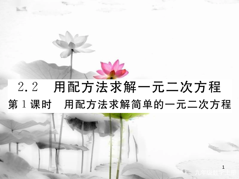 （河南专用）九年级数学上册2.2用配方法求解一元二次方程第1课时用配方法求解简单的一元二次方程作业课件（新版）北师大版_第1页