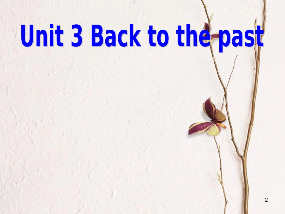 湖南省茶陵县高中英语 Unit 3 Back to the past Word power课件 牛津译林版必修3_第2页