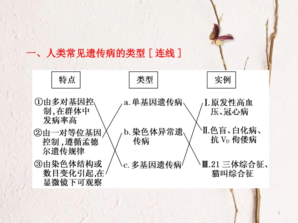 山东省乐陵市高中生物 第五章 基因突变及其他变异 5.3 人类遗传病与生物育种课件 新人教版必修2_第3页