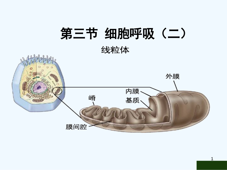 高中生物 4.3《细胞呼吸》课件 苏教版必修1_第1页