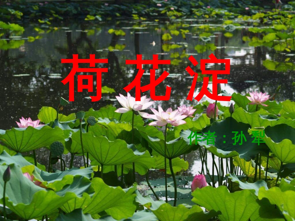 高中语文《荷花淀》课件2 北京版必修4_第1页