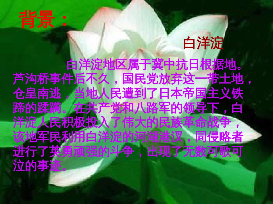 高中语文《荷花淀》课件2 北京版必修4_第3页