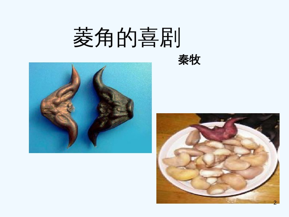 高中语文 第三单元之《菱角的喜剧》课件 粤教版必修2_第2页