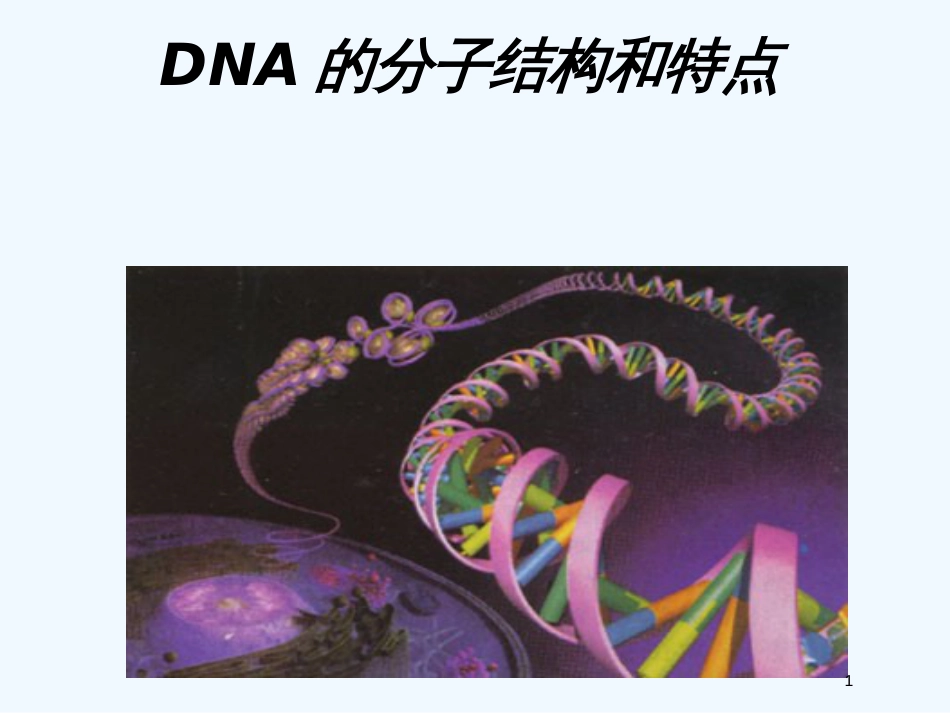 高中生物《DNA的分子结构和特点》课件 浙教版必修2_第1页