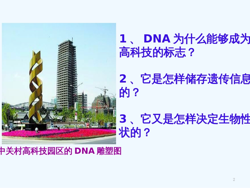 高中生物《DNA的分子结构和特点》课件 浙教版必修2_第2页