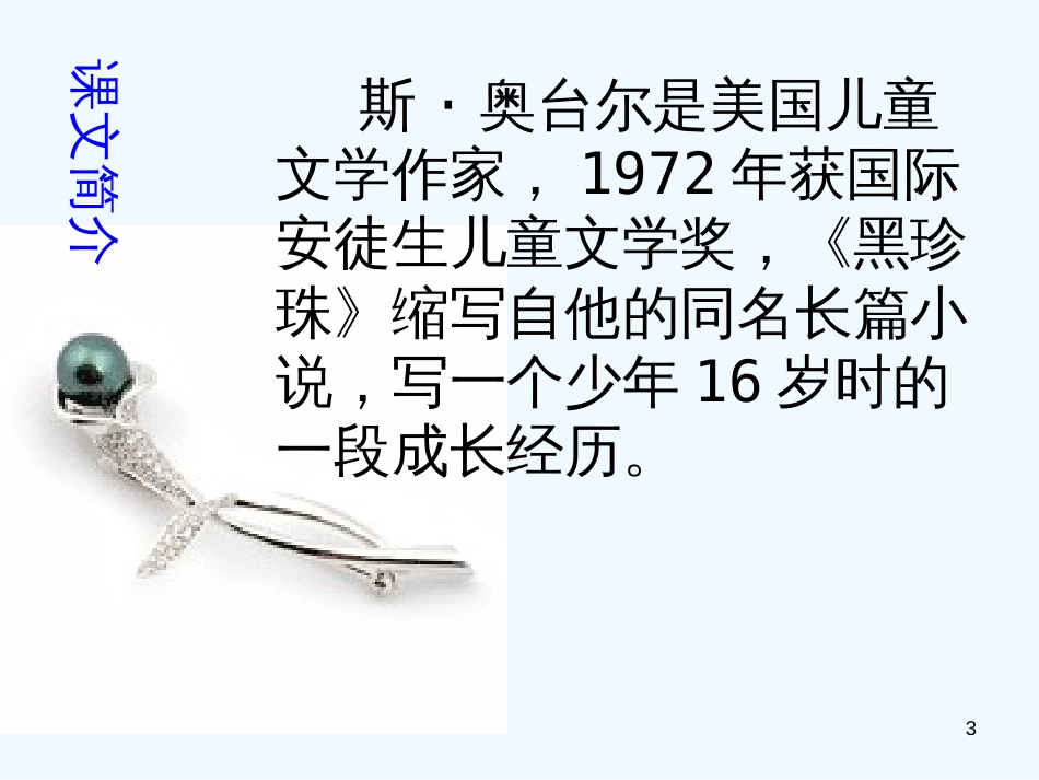 高中语文《黑珍珠》课件 语文版必修1_第3页