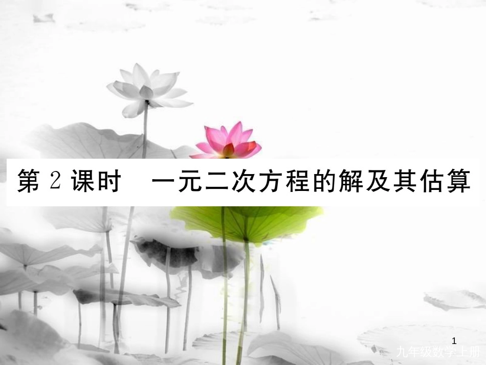 （河南专用）九年级数学上册2.1认识一元二次方程第2课时一元二次方程的解及其估算作业课件（新版）北师大版_第1页