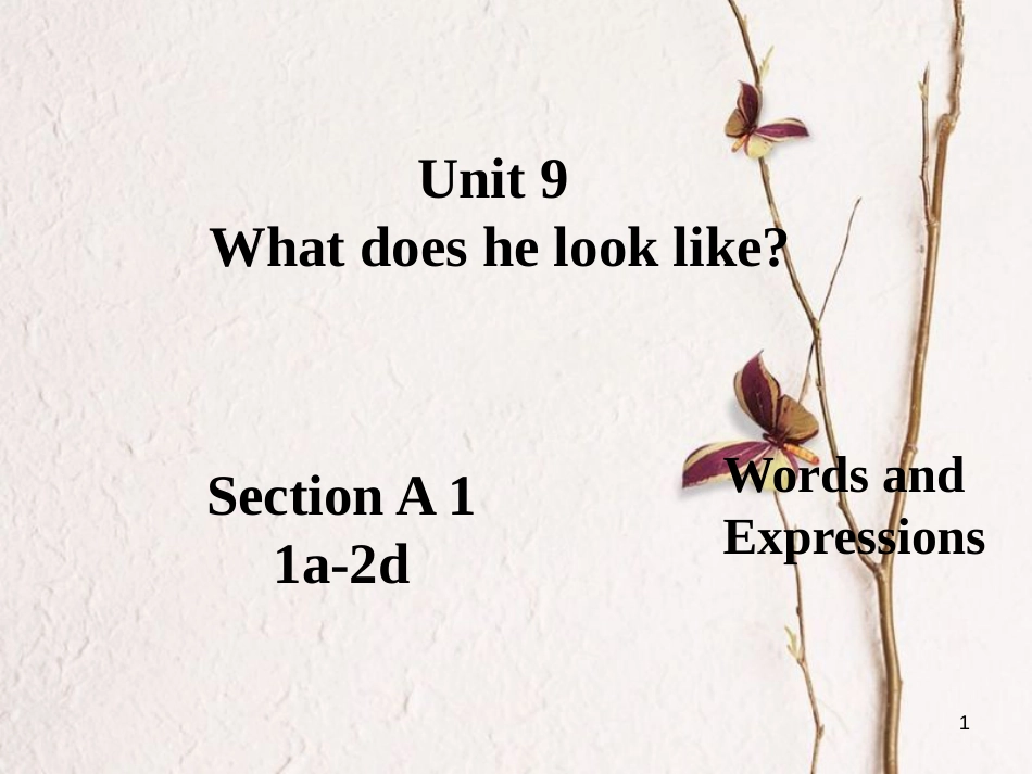 学年七年级英语下册 Unit 9 What does he look like Section A 1课件 _第1页