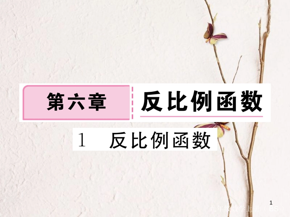 （河南专版）九年级数学上册第六章反比例函数6.1反比例函数习题讲评课件（新版）北师大版_第1页