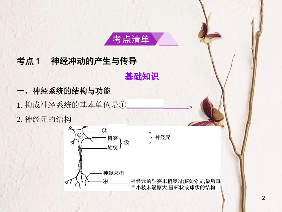 （B版，浙江选考专用）2019版高考生物总复习专题19神经系统的结构与功能课件_第2页