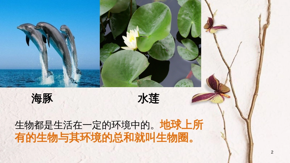 七年级生物上册 第一单元 第二章 第一节 生物与环境的关系（第1课时）课件 （新版）新人教版_第2页