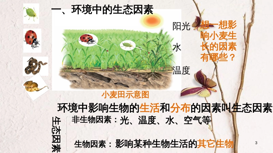 七年级生物上册 第一单元 第二章 第一节 生物与环境的关系（第1课时）课件 （新版）新人教版_第3页