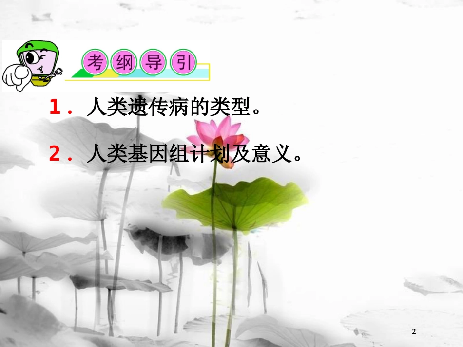 （山西专用）高三生物一轮复习 第19讲 人类遗传病课件 新人教版必修2_第2页