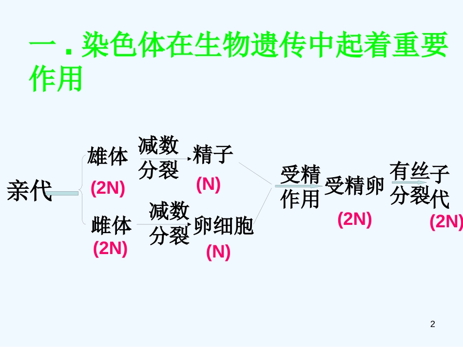 高中生物 遗传物质的发现课件 中图版必修2_第2页