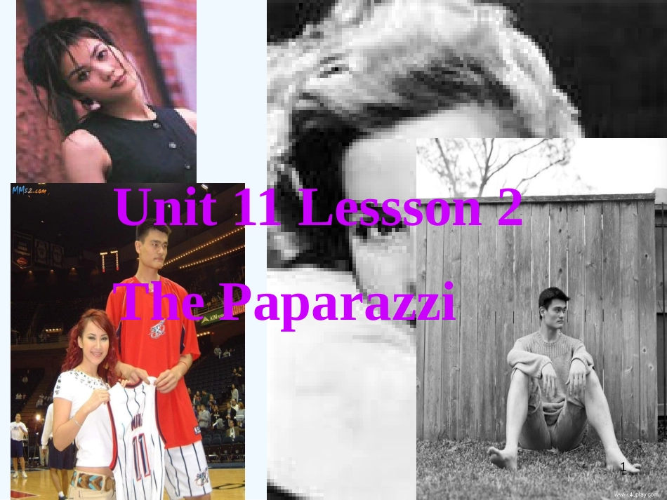 高中英语 Unit11 lesson2 Paparazzi课件 北师大版必修4_第1页