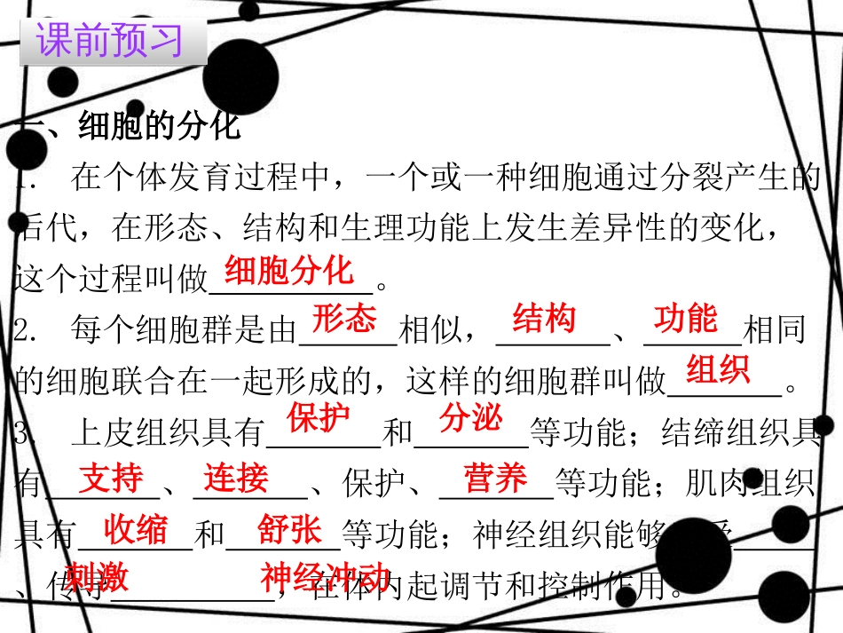 七年级生物上册 第二单元 第二章 第二节 动物体的结构层次课件 （新版）新人教版_第3页