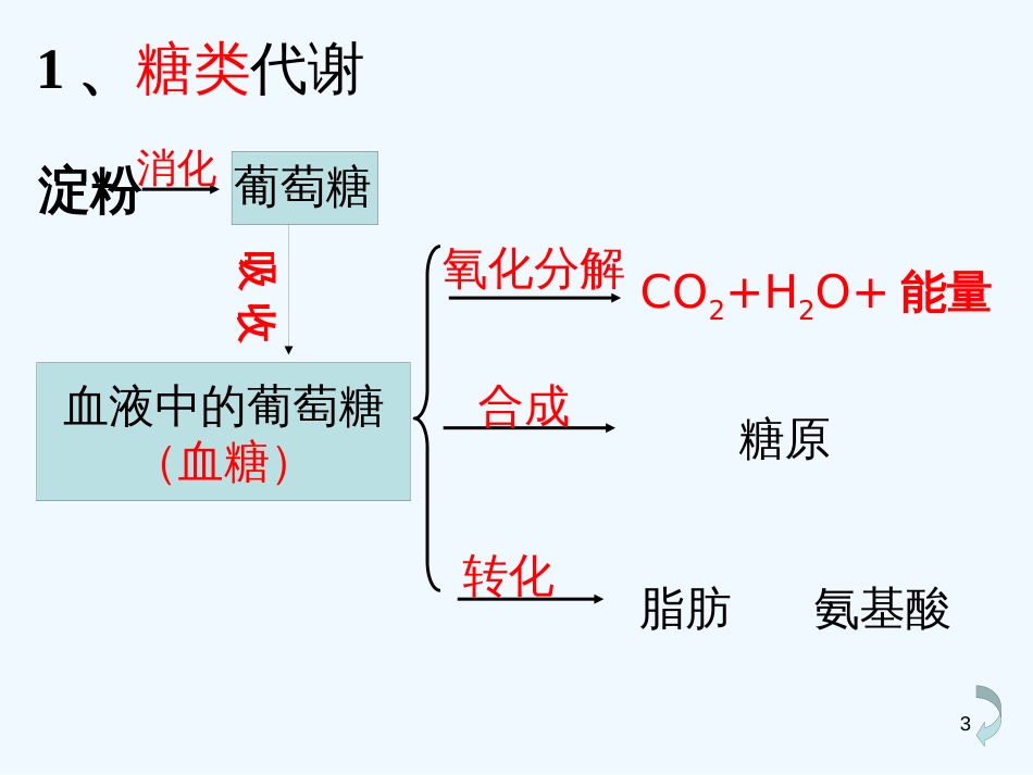 高中生物 4.4《生物体内营养物质的转换》课件（2） 沪科版第一册_第3页