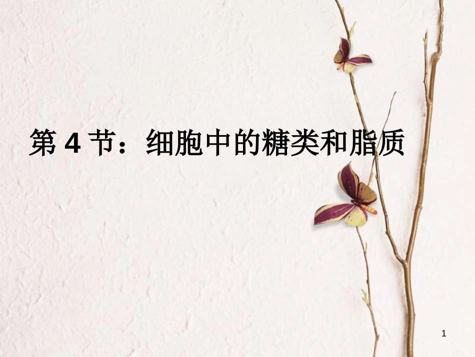 贵州省遵义市高一生物 细胞中的糖类和脂质课件_第1页