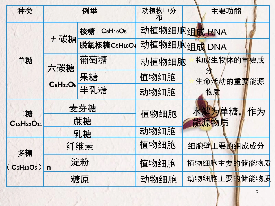 贵州省遵义市高一生物 细胞中的糖类和脂质课件_第3页