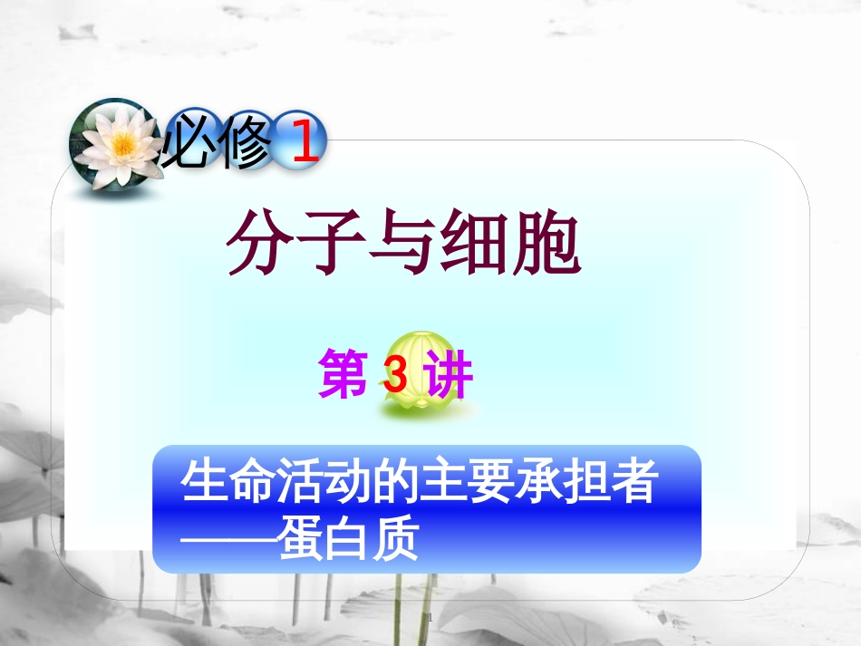 （山西专用）高三生物一轮复习 第3讲 生命活动的主要承担者――蛋白质课件 新人教版必修1_第1页
