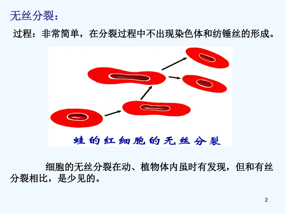 高中生物 7《细胞分裂》课件 沪科版第二册_第2页