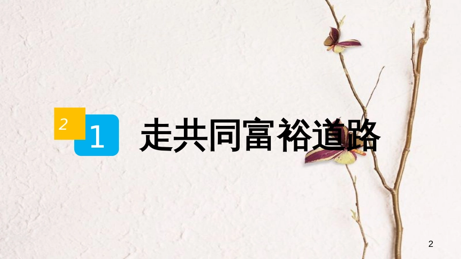 九年级政治全册 第二单元 共同富裕 社会和谐 2.1 走共同富裕道路课件 粤教版_第2页