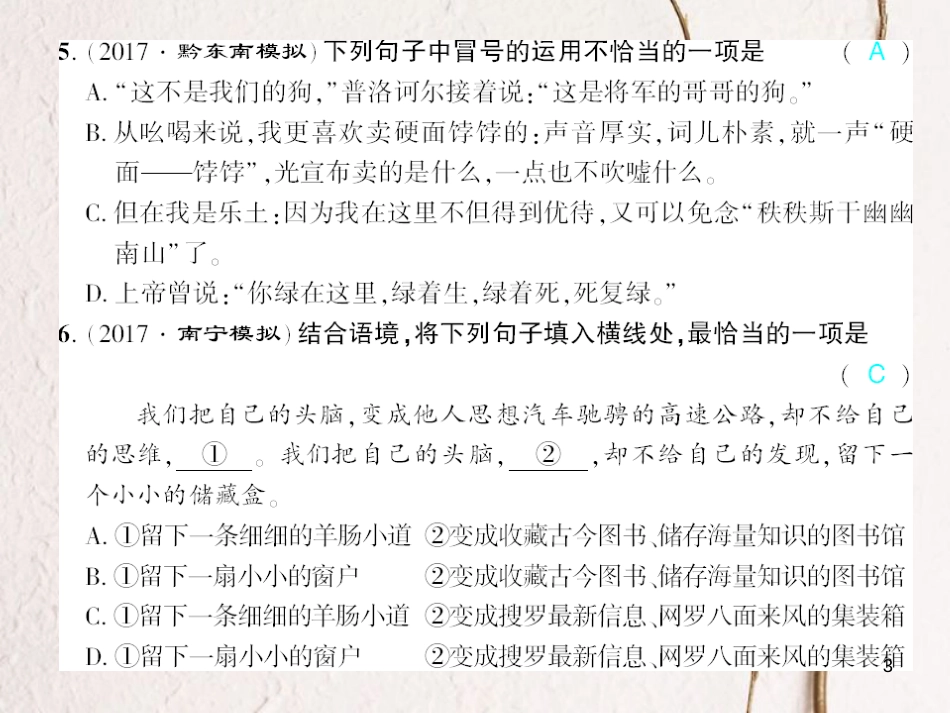 广西北部湾九年级语文下册 第二单元 7 变色龙习题课件 （新版）新人教版_第3页