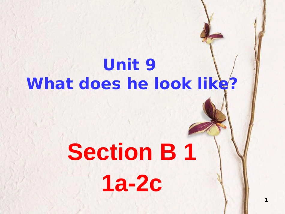 学年七年级英语下册 Unit 9 What does he look like Section B 1课件 _第1页