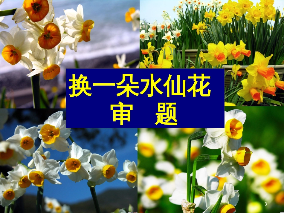 高考语文 作文指导“换一朵水仙花”作文讲评课件 人教版_第3页
