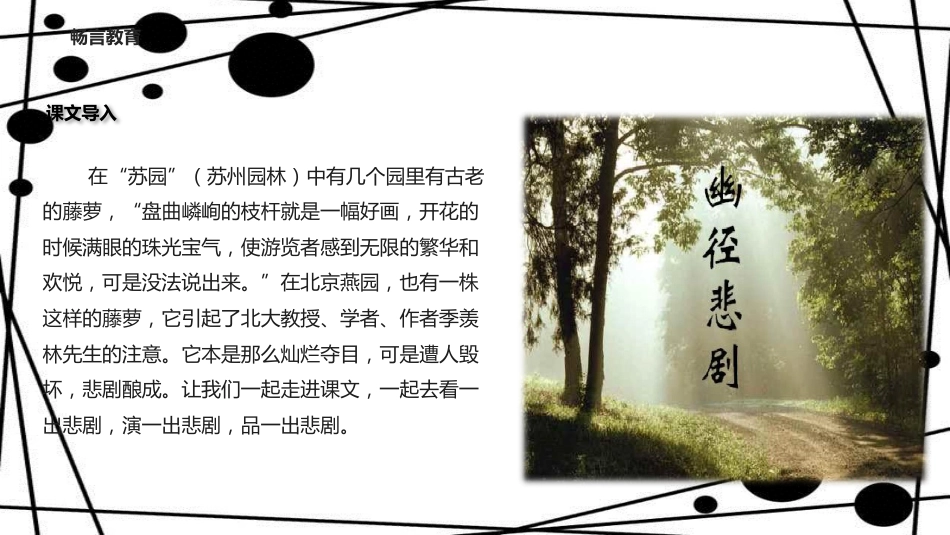 八年级语文上册 第五单元 21《幽径悲剧》教学课件 苏教版_第2页