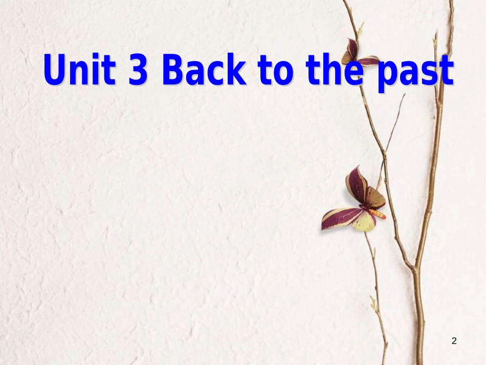 湖南省茶陵县高中英语 Unit 3 Back to the past Language points课件 牛津译林版必修3_第2页