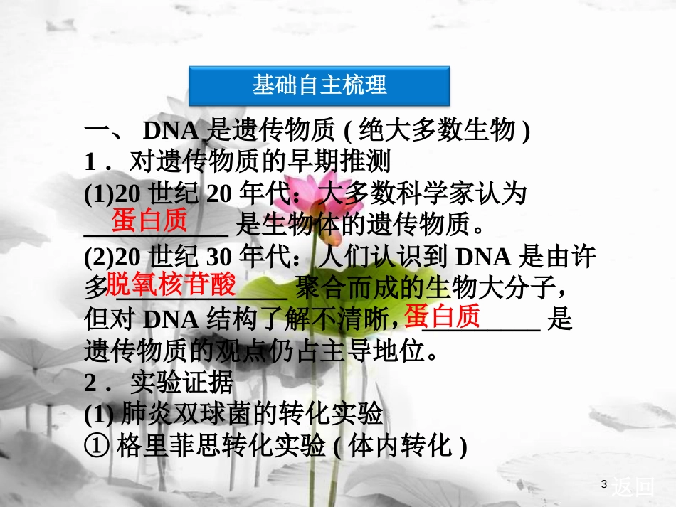 （广东专用）高考生物总复习 第3章 基因的本质 第1节 DNA是主要的遗传物质课件 新人教版必修2_第3页