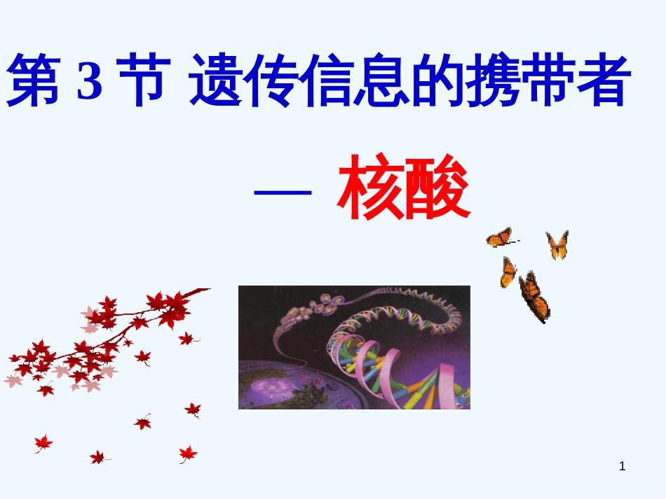 高中生物《第二章 第三节 遗传信息的携带者 核酸》课件3 新人教版必修1_第1页