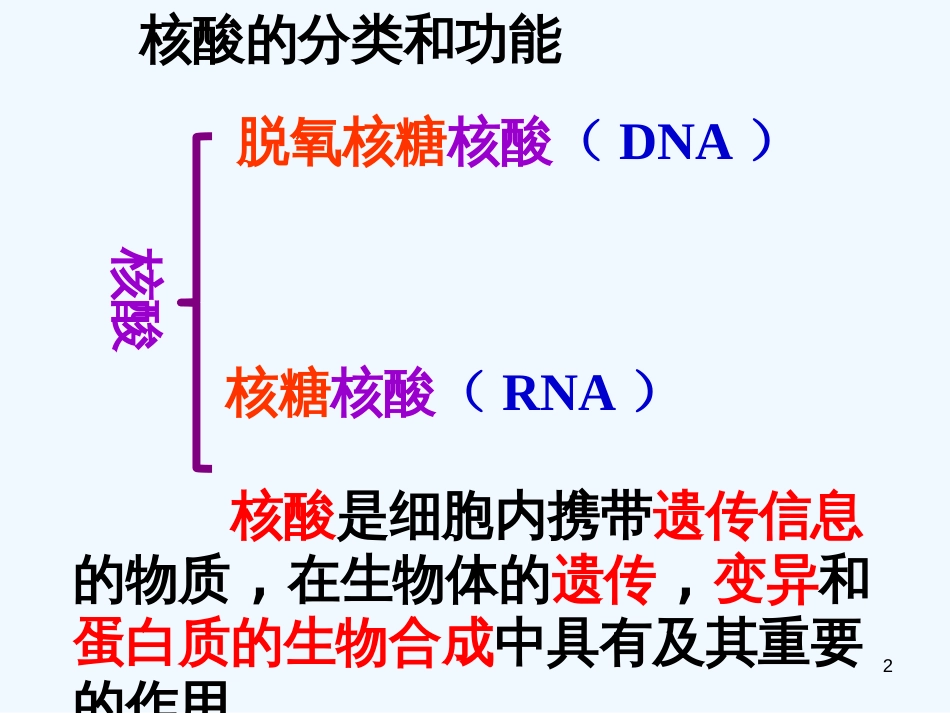 高中生物《第二章 第三节 遗传信息的携带者 核酸》课件3 新人教版必修1_第2页