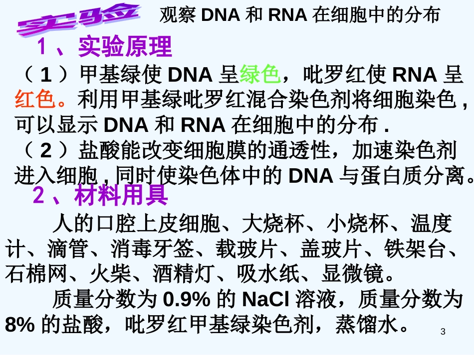高中生物《第二章 第三节 遗传信息的携带者 核酸》课件3 新人教版必修1_第3页