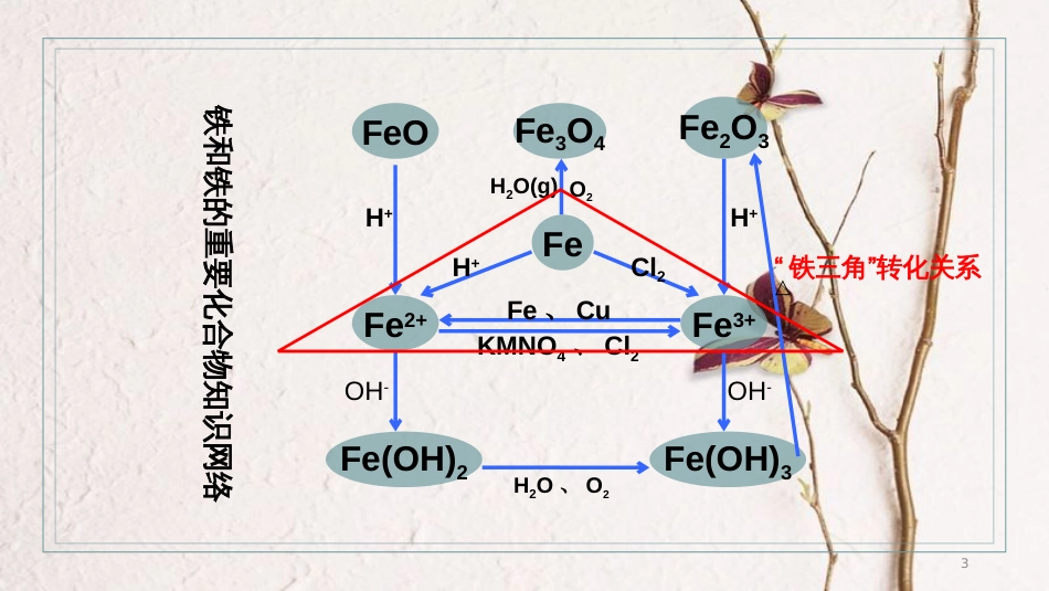 辽宁省北票市高中化学 第三章 金属及其化合物 3.2 铁和铁的化合物习题课课件 新人教版必修1_第3页