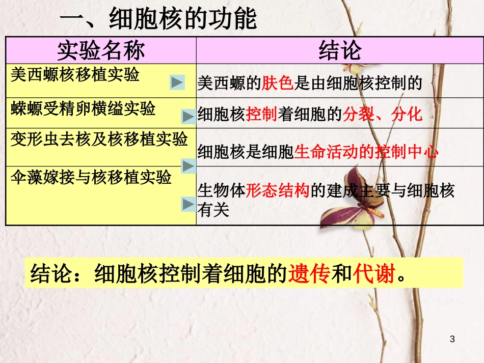 辽宁省沈阳市高中生物 第三章 细胞的基本结构 3.3 细胞核课件 新人教版必修1_第3页