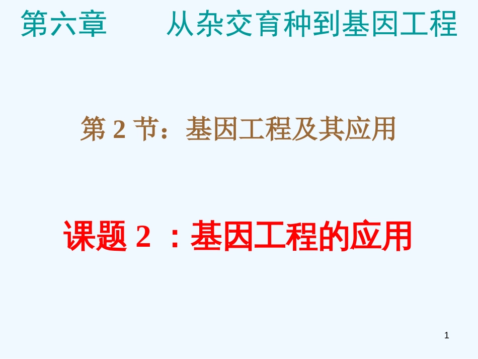 高中生物 6.2.2《基因工程及其应用》课件 新人教版必修2_第1页