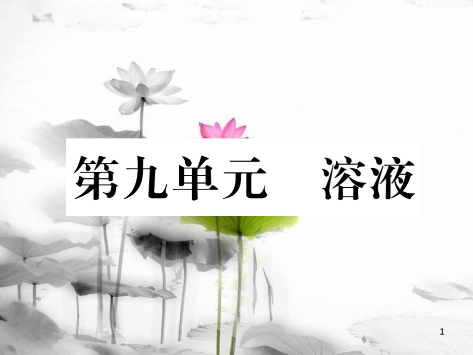 （云南专版）中考化学总复习 第一编 第9单元 溶液（精练）课件_第1页