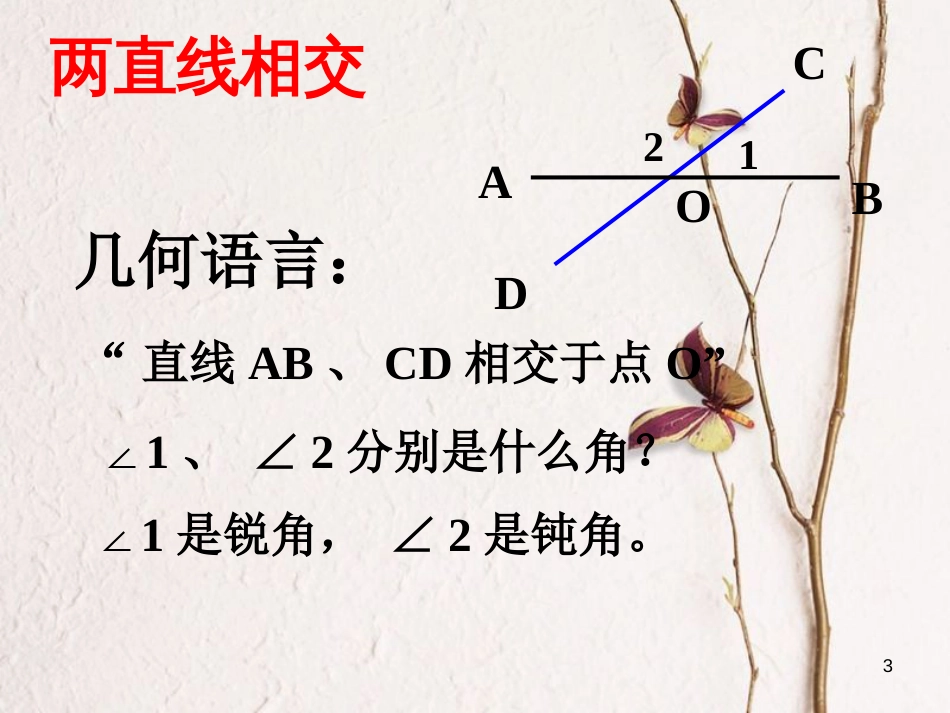 七年级数学上册 5.1 相交线 5.1.2 垂线教学课件2 （新版）华东师大版_第3页