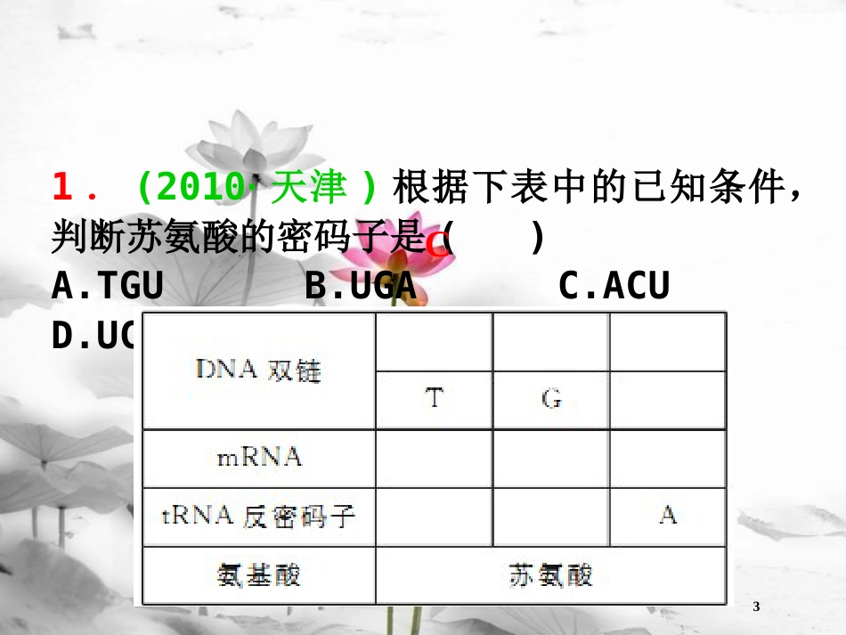 （山西专用）高三生物一轮复习 第17讲 基因指导蛋白质的合成和基因对性状的控制课件 新人教版必修2_第3页