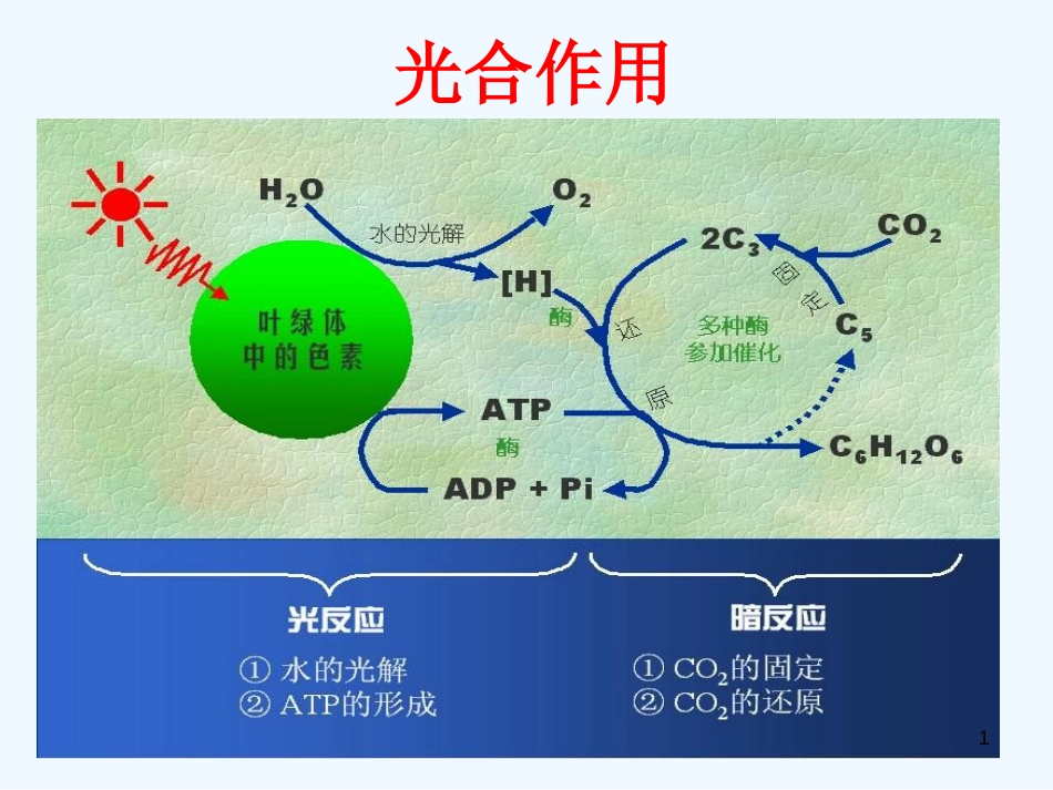 高中生物《第五章 第四节 能量之源 光与光合作用》课件3 新人教版必修1_第1页